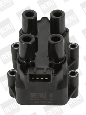 Uždegimo ritė BorgWarner (BERU) ZS344