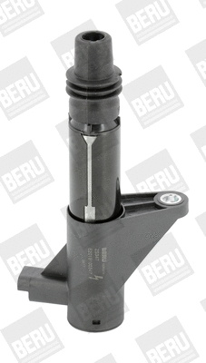 Uždegimo ritė BorgWarner (BERU) ZS347