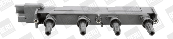 Uždegimo ritė BorgWarner (BERU) ZS348