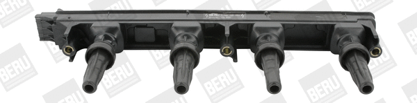 Uždegimo ritė BorgWarner (BERU) ZS352