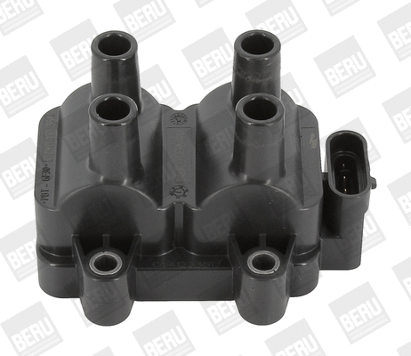 Uždegimo ritė BorgWarner (BERU) ZS354