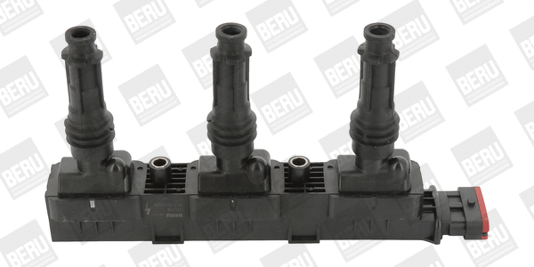Uždegimo ritė BorgWarner (BERU) ZS358