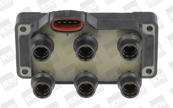 Uždegimo ritė BorgWarner (BERU) ZS371