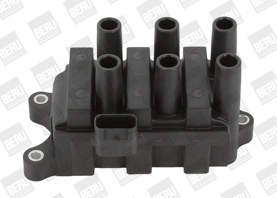 Uždegimo ritė BorgWarner (BERU) ZS372