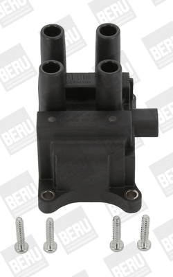 Uždegimo ritė BorgWarner (BERU) ZS387