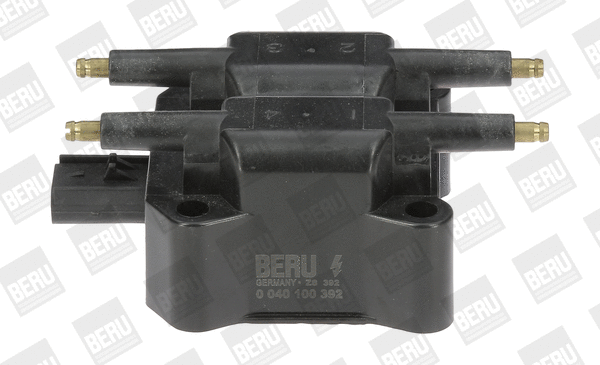 Uždegimo ritė BorgWarner (BERU) ZS392