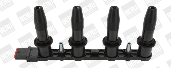 Uždegimo ritė BorgWarner (BERU) ZS427