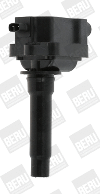 Uždegimo ritė BorgWarner (BERU) ZS434