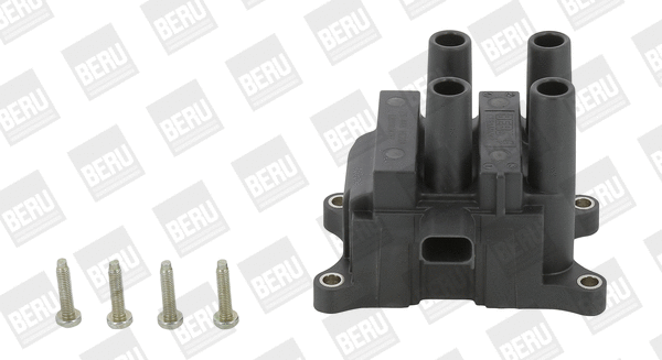 Uždegimo ritė BorgWarner (BERU) ZS448