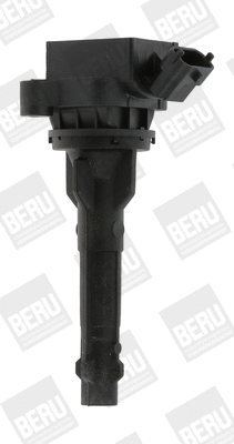 Uždegimo ritė BorgWarner (BERU) ZS449