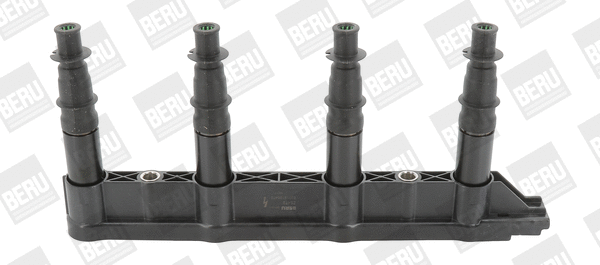 Uždegimo ritė BorgWarner (BERU) ZS472