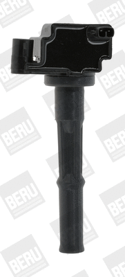 Uždegimo ritė BorgWarner (BERU) ZS473