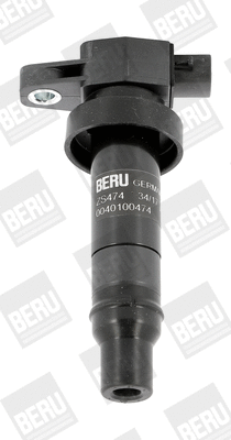 Uždegimo ritė BorgWarner (BERU) ZS474