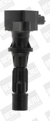 Uždegimo ritė BorgWarner (BERU) ZS488