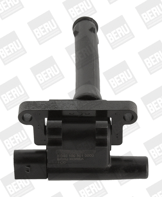 Uždegimo ritė BorgWarner (BERU) ZS501