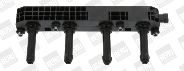 Uždegimo ritė BorgWarner (BERU) ZS508