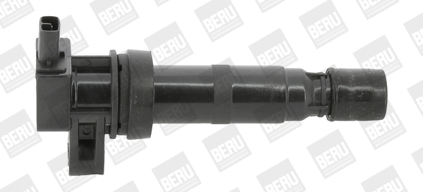 Uždegimo ritė BorgWarner (BERU) ZS531