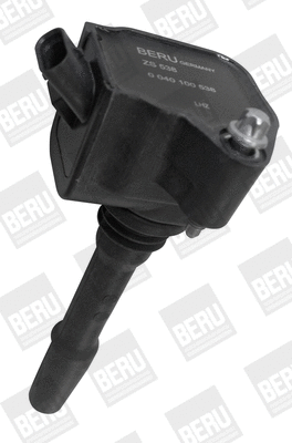 Uždegimo ritė BorgWarner (BERU) ZS538