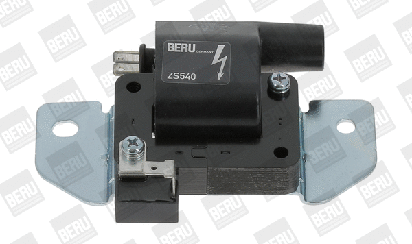 Uždegimo ritė BorgWarner (BERU) ZS540