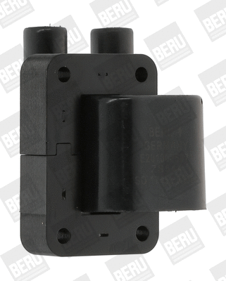 Uždegimo ritė BorgWarner (BERU) ZS544