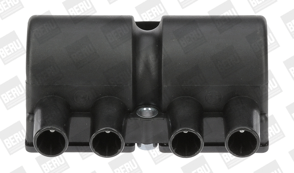 Uždegimo ritė BorgWarner (BERU) ZS545