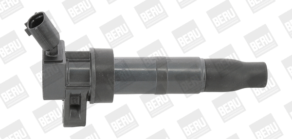 Uždegimo ritė BorgWarner (BERU) ZS548