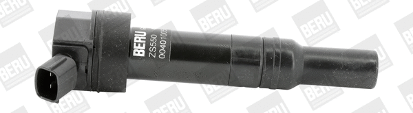 Uždegimo ritė BorgWarner (BERU) ZS550