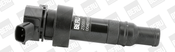 Uždegimo ritė BorgWarner (BERU) ZS551