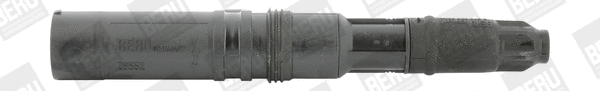 Uždegimo ritė BorgWarner (BERU) ZS552