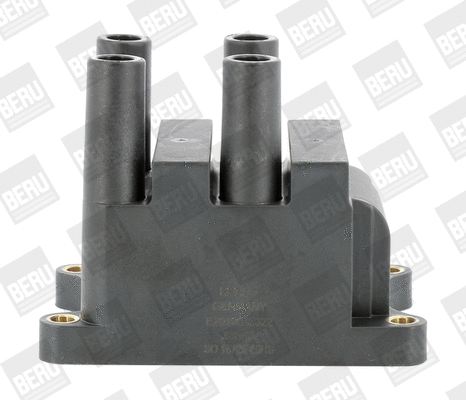 Uždegimo ritė BorgWarner (BERU) ZS556