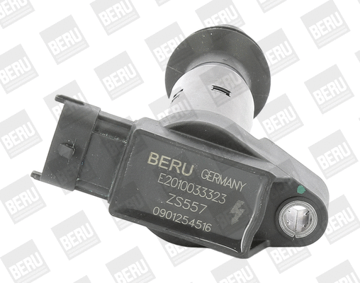 Uždegimo ritė BorgWarner (BERU) ZS557