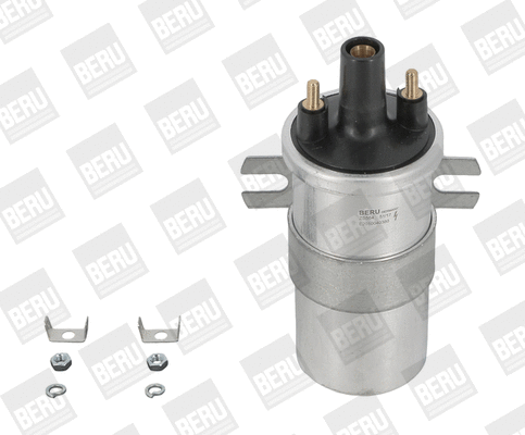 Uždegimo ritė BorgWarner (BERU) ZS564