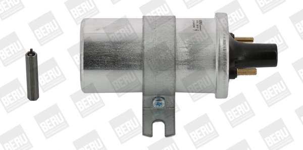 Uždegimo ritė BorgWarner (BERU) ZS570