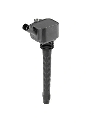 Uždegimo ritė BorgWarner (BERU) ZS573