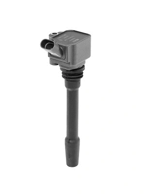 Uždegimo ritė BorgWarner (BERU) ZS587