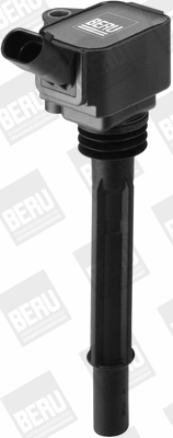 Uždegimo ritė BorgWarner (BERU) ZS588