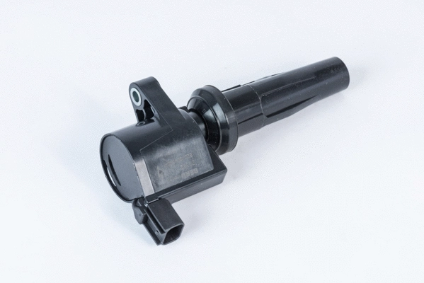 Uždegimo ritė BorgWarner (BERU) ZS592