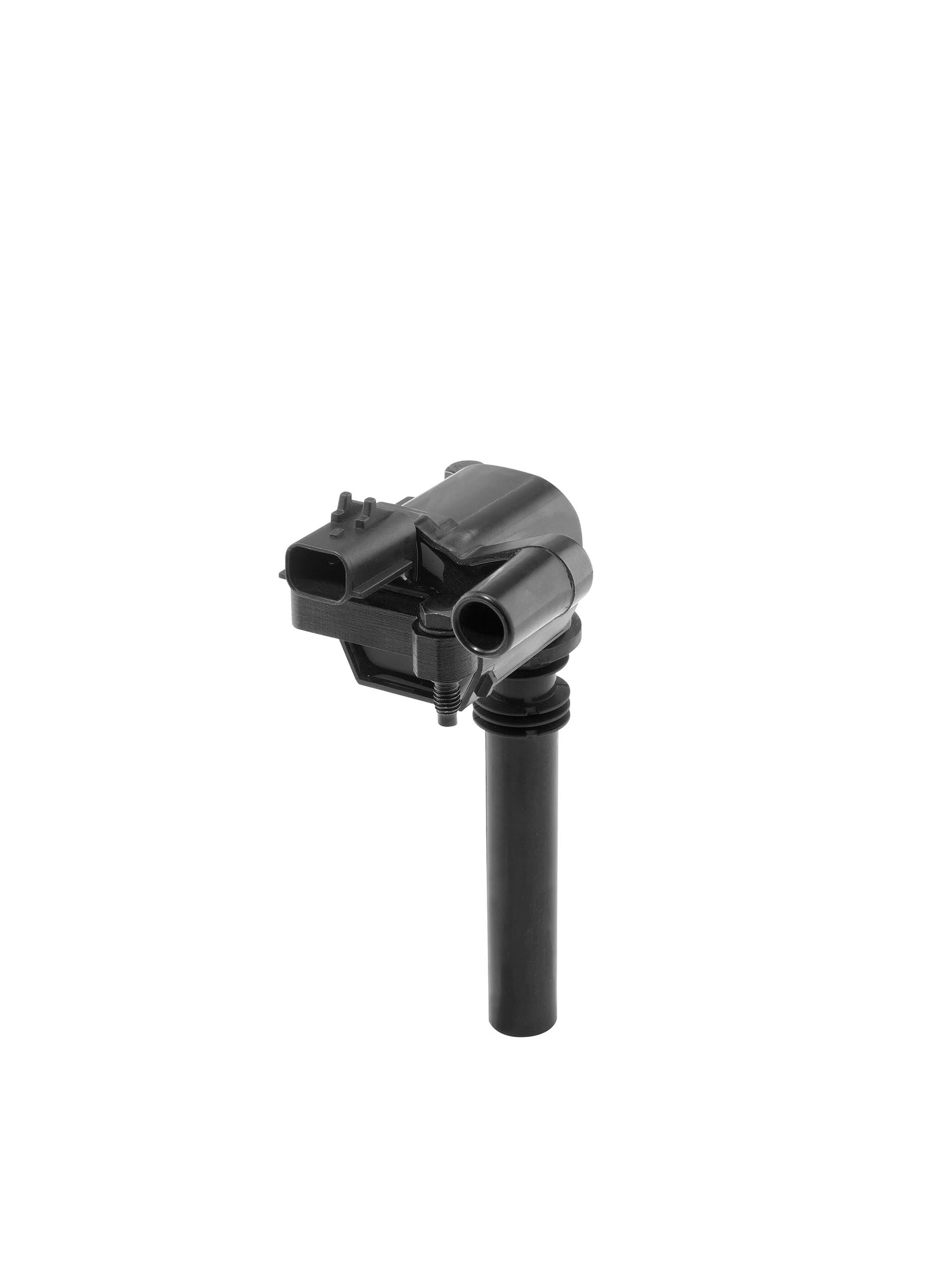 Uždegimo ritė BorgWarner (BERU) ZS598