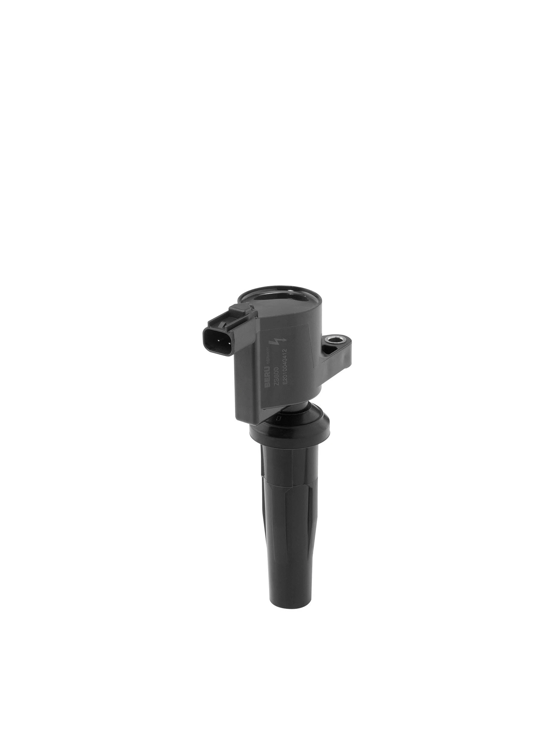 Uždegimo ritė BorgWarner (BERU) ZS600