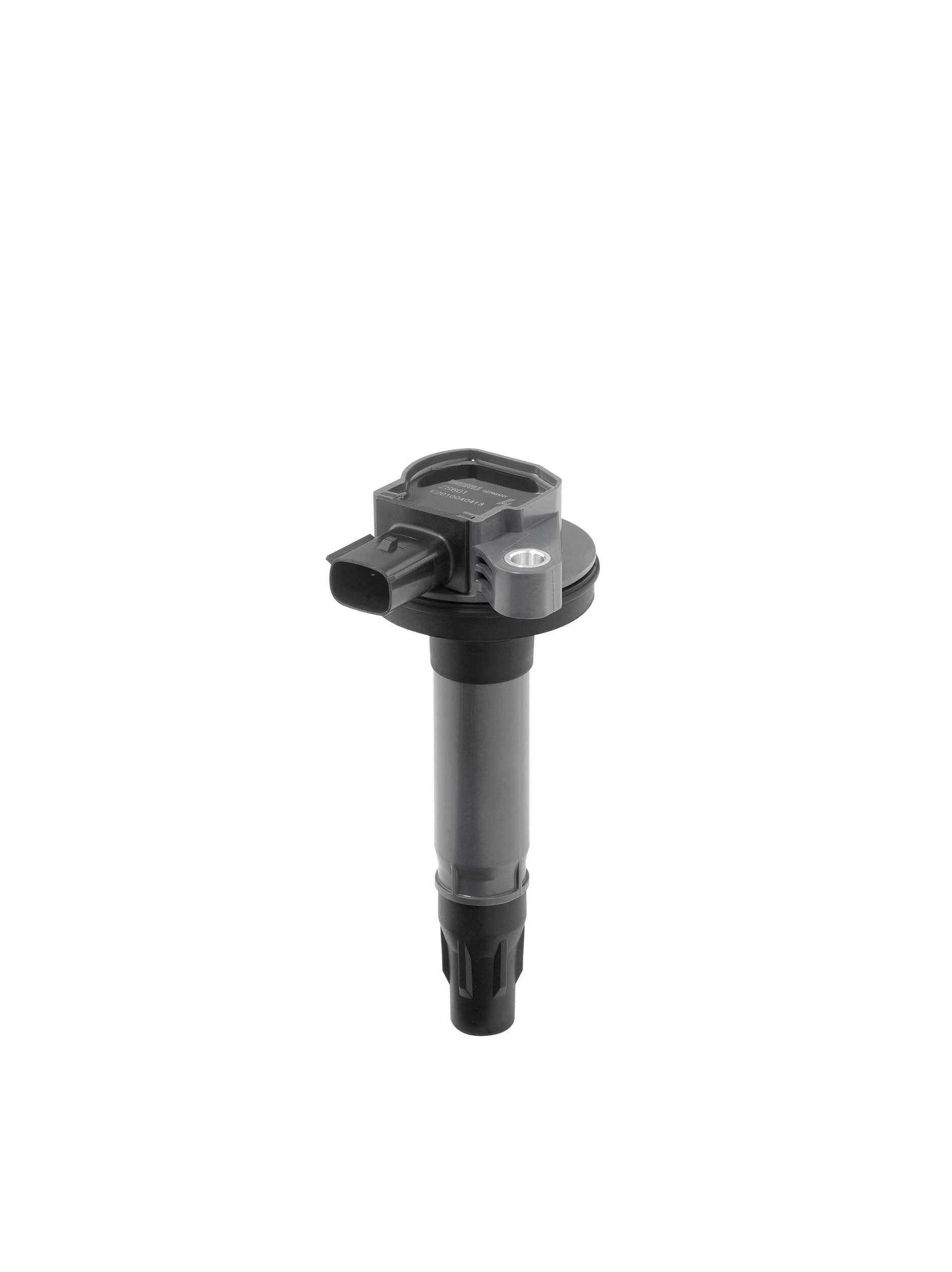 Uždegimo ritė BorgWarner (BERU) ZS601