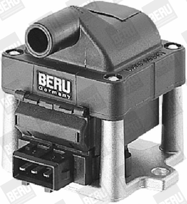 Uždegimo ritė BorgWarner (BERU) ZSE001
