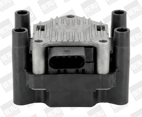 Uždegimo ritė BorgWarner (BERU) ZSE003