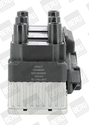 Uždegimo ritė BorgWarner (BERU) ZSE004