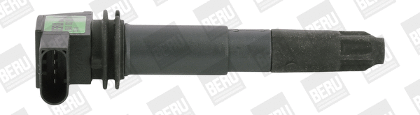 Uždegimo ritė BorgWarner (BERU) ZSE012
