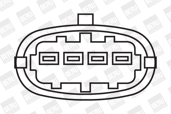 Uždegimo ritė BorgWarner (BERU) ZSE019