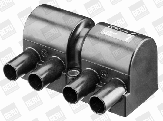 Uždegimo ritė BorgWarner (BERU) ZSE025