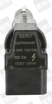Uždegimo ritė BorgWarner (BERU) ZSE030