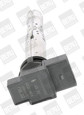 Uždegimo ritė BorgWarner (BERU) ZSE031