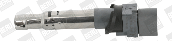 Uždegimo ritė BorgWarner (BERU) ZSE041