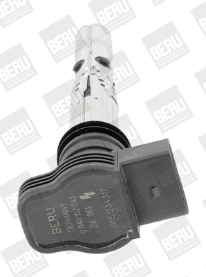 Uždegimo ritė BorgWarner (BERU) ZSE043